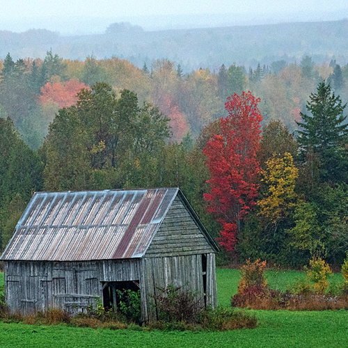 An autumn hail storm enlightens the backdrop of a pastural setting in rural
York County, NB, Canada