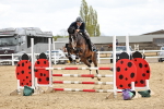 SBM_000965