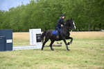 WJ6_3286
