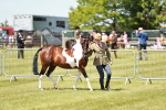 SBM_05457