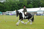 SBM_01207
