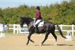 SBM_001920