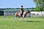 SBM_19519