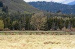 Spring At the Oxbow