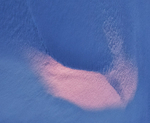DRIFT-2