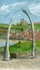 Whitby Whale Bones 