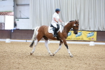 SBM_000749