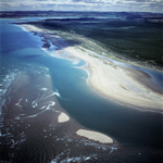 A00678F Tentsmuir Forest and sands Fife