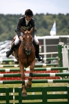 More Brightling International Horse Trials portfolio