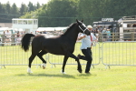 SBM_02265