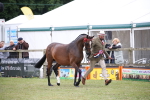 SBM_09779