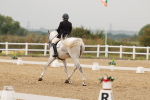 SBM_009278
