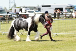 SBM_05551