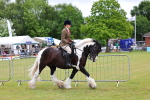 SBM_02601