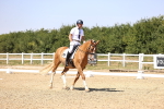 SBM_004893