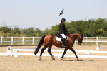 SBM_005069