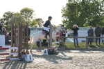 J8 - Junior Pony 65cm Championship portfolio