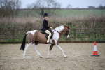 SBM_007908