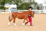 SBM_10165