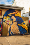 Glasgow Mural Trail