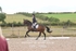 BPP_7989