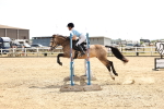 SBM_001958