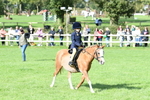 SBM_50277