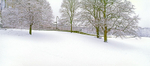 Christmas in the Royal Crescent, Bath EDC225