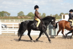 SBM_23201