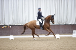 SBM_008006