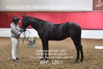 BPP_1863
