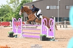 Cls 29 Snr Foxhunter portfolio