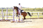 SBM_002294