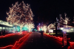 Architecture and Night Skyline portfolio