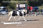 BPP_8605