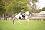 SBM_73541