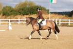 SBM_009377