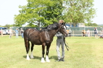 SBM_02297