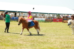 SBM_17335
