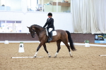 SBM_004393