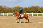SBM_000960
