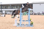 BPP_8564