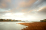 Newport Estuary Autumn Pembrokeshire