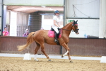SBM_010212