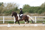 SBM_003622