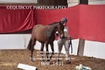 BPP_1431