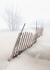Sand Fence In Fog