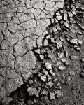 Riverbank