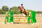 SBM_001878