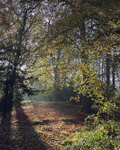 Hillsborough Park